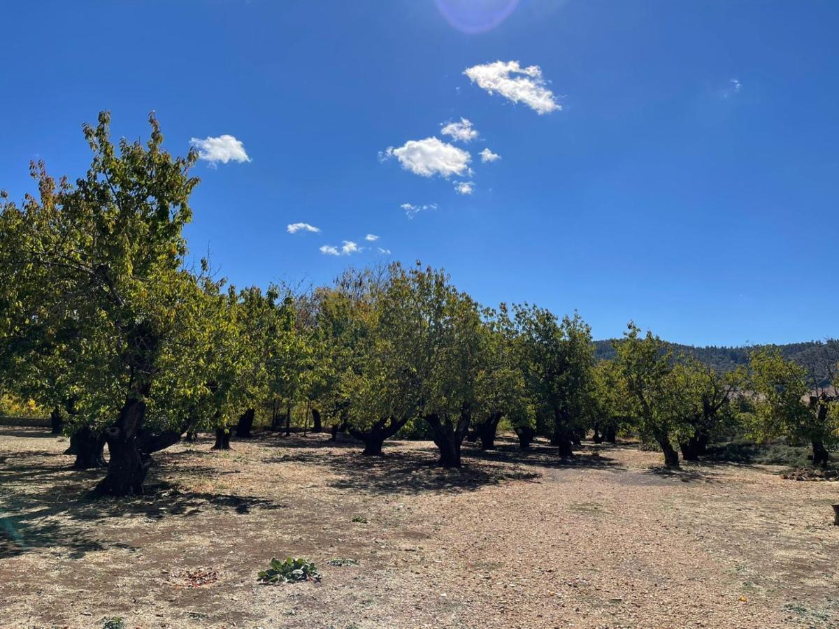 Gite Camping Amazigh Azrou Exteriör bild